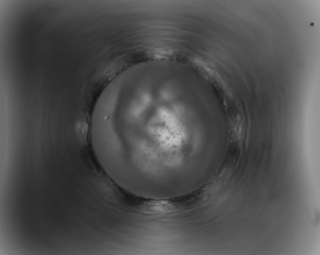 X0000088670427200706141339