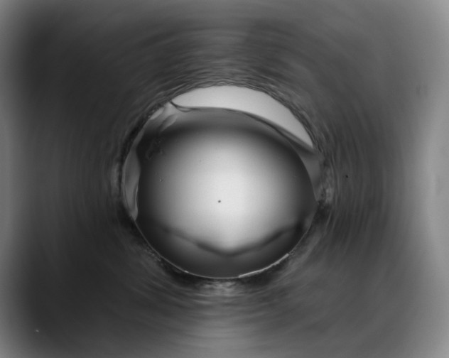 X0000088670428200706141339