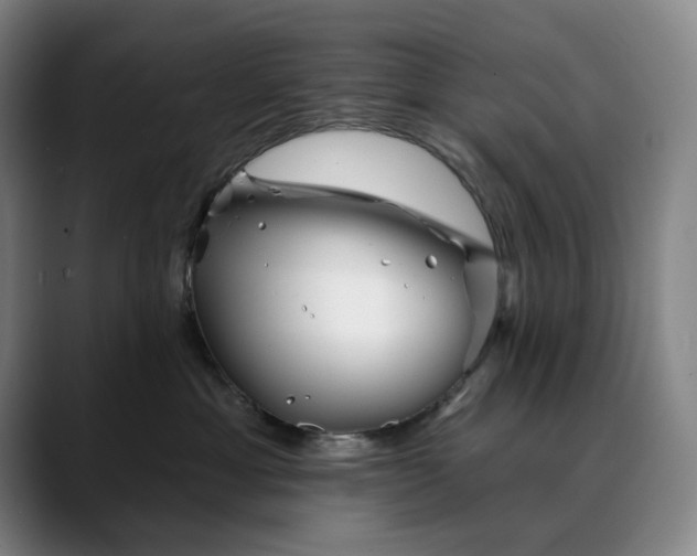 X0000088670429200706141339