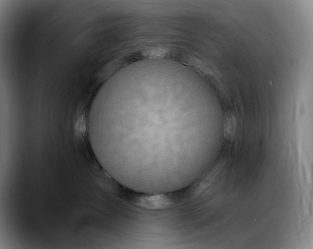X0000088670431200706141339
