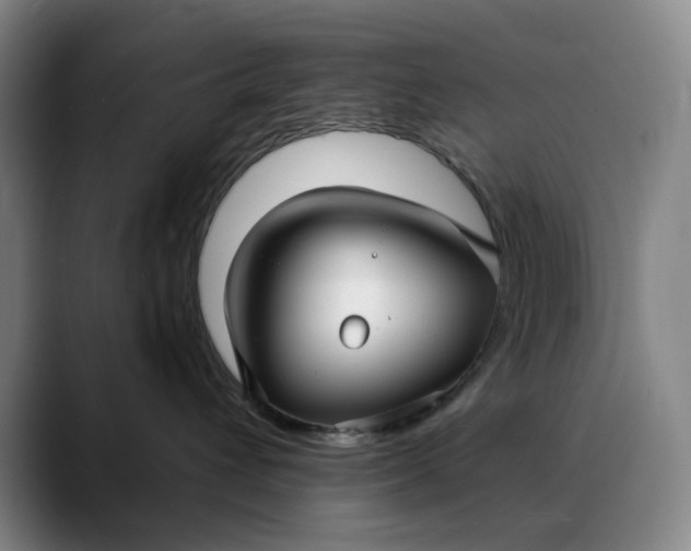 X0000088670432200706141339
