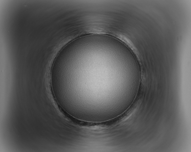 X0000088670433200706141339