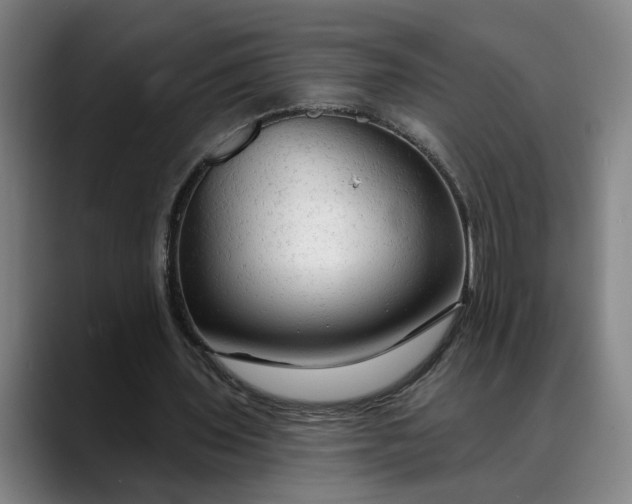 X0000088670435200706141339
