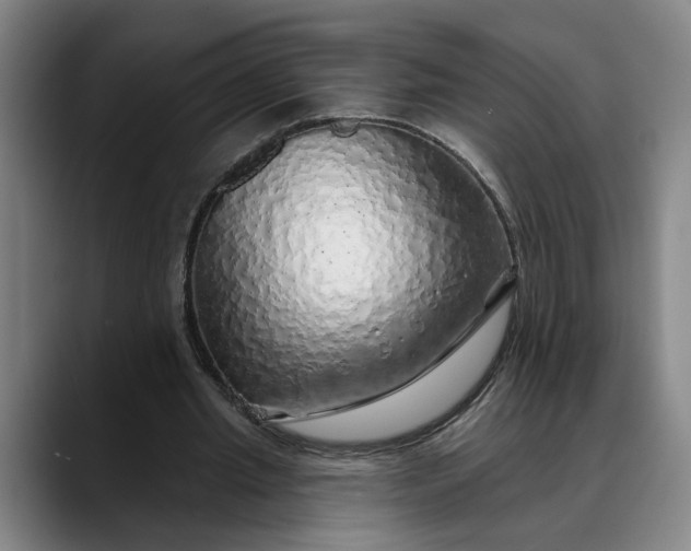 X0000088670437200706141339