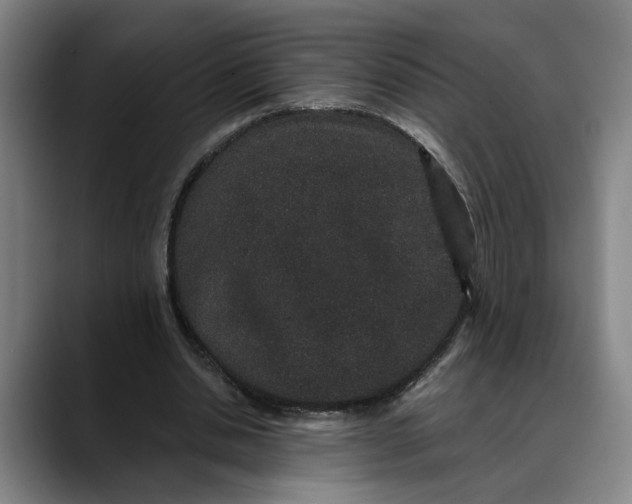 X0000088670438200706141339
