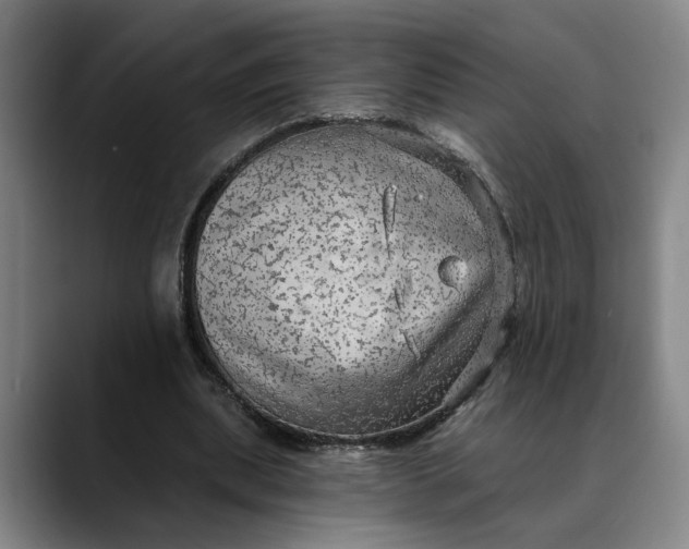 X0000088670439200706141339