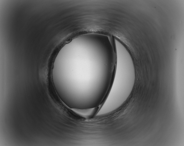 X0000088670440200706141339