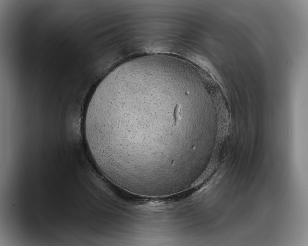 X0000088670441200706141339