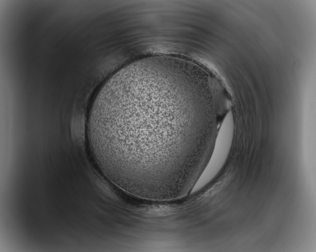 X0000088670445200706141339