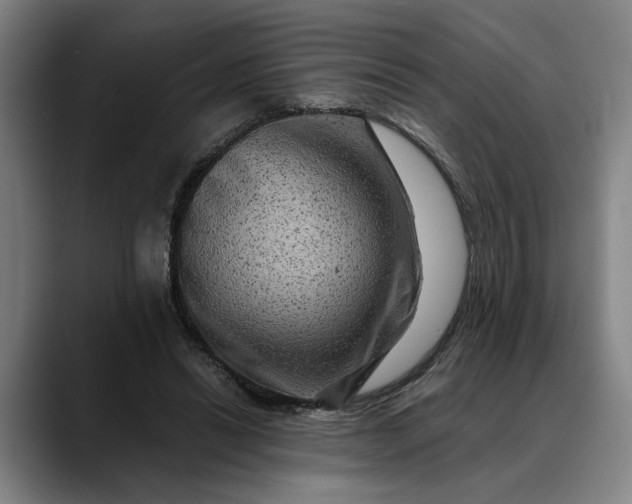 X0000088670446200706141339