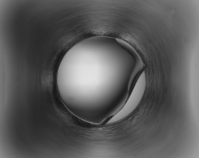 X0000088670448200706141339
