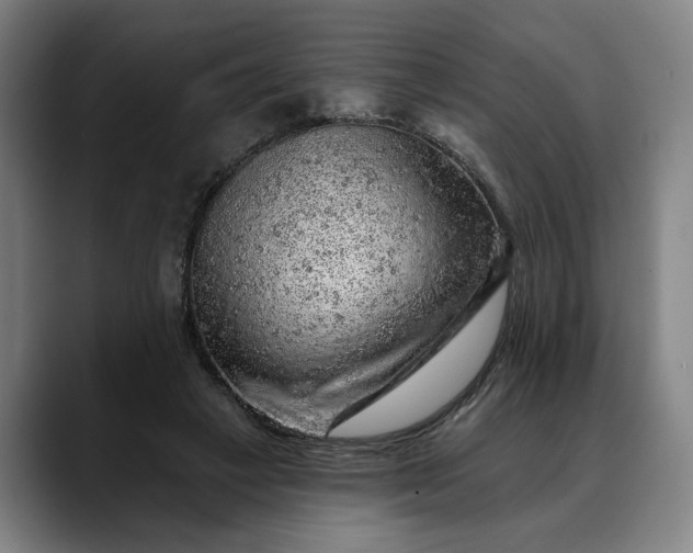 X0000088670449200706141339