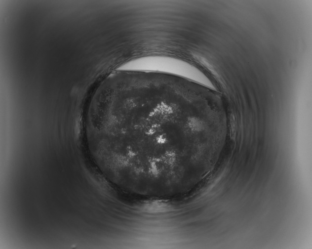 X0000088670451200706141339