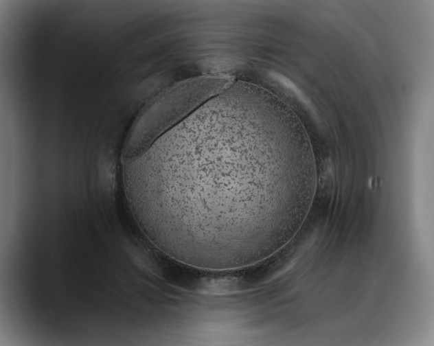 X0000088670452200706141339