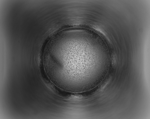 X0000088670455200706141339