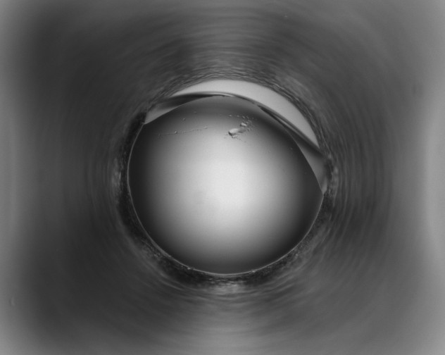 X0000088670456200706141339