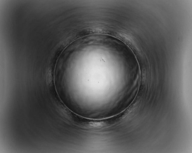 X0000088670457200706141339