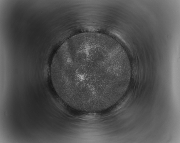 X0000088670459200706141339