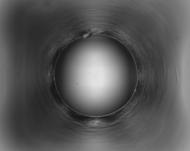 X0000088670460200706141339