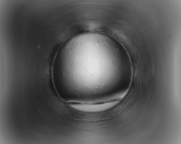 X0000088670461200706141339