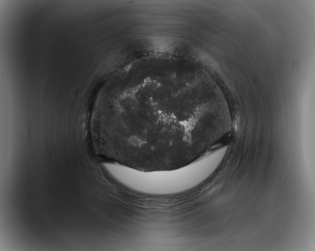 X0000088670462200706141339