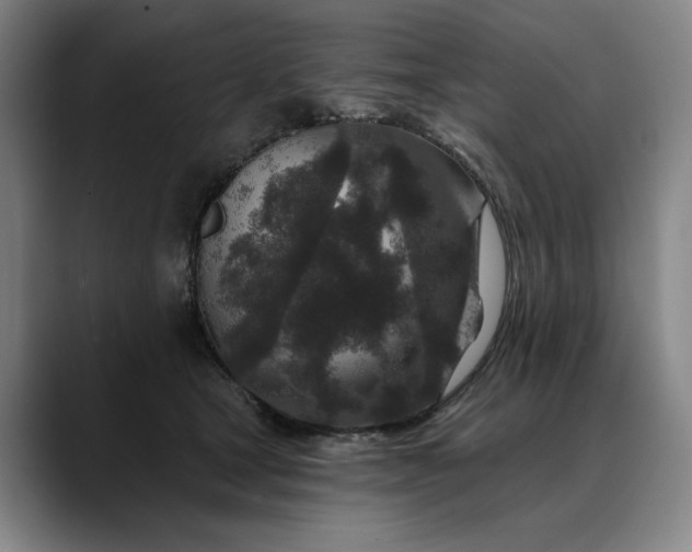 X0000088670465200706141339