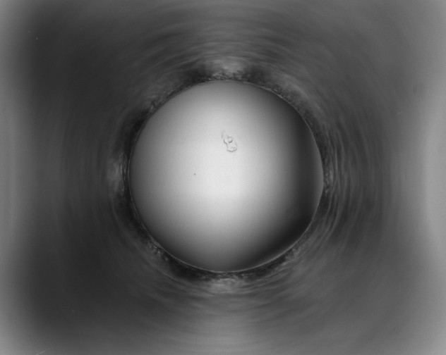 X0000088670468200706141339