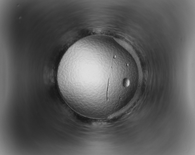 X0000088670470200706141339