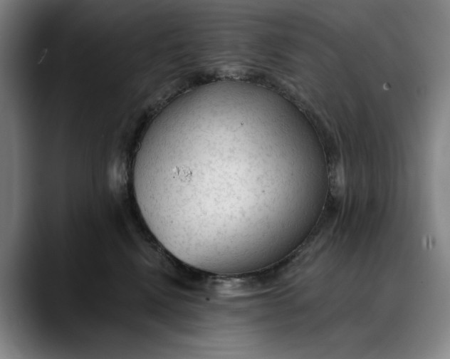 X0000088670472200706141339