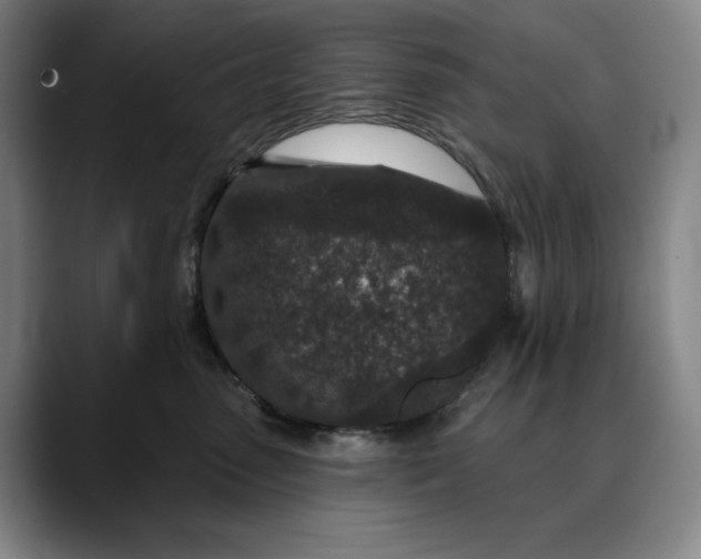 X0000088670475200706141339