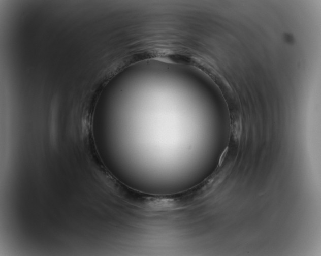 X0000088670476200706141339