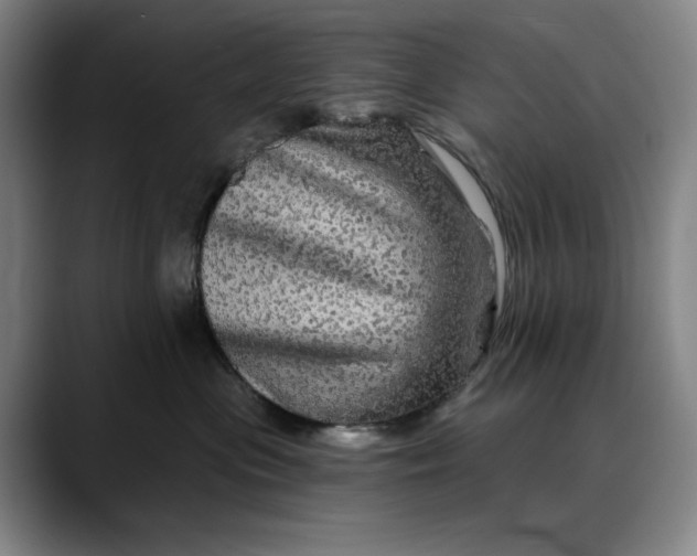 X0000088670477200706141339