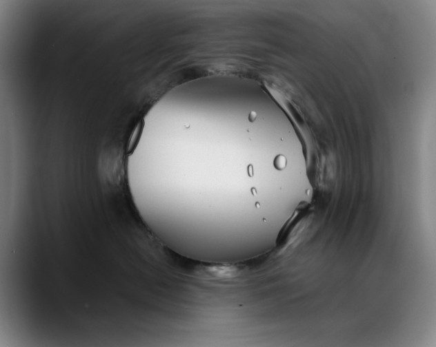 X0000088670478200706141339