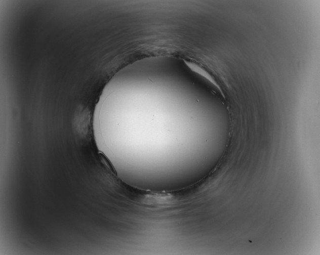 X0000088670480200706141339