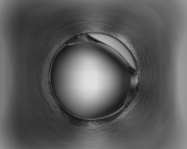 X0000088670481200706141339