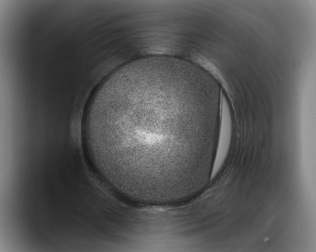 X0000088670482200706141339
