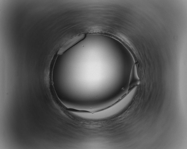 X0000088670485200706141339