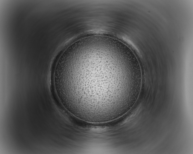X0000088670486200706141339