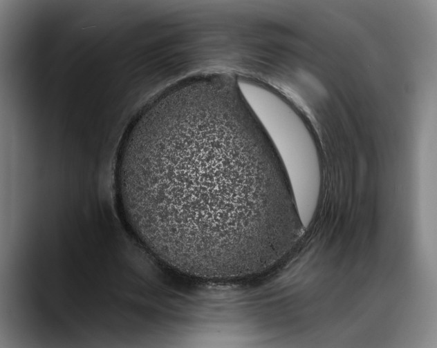 X0000088670487200706141339