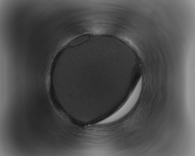 X0000088670488200706141339