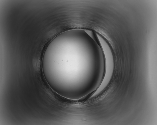 X0000088670489200706141339
