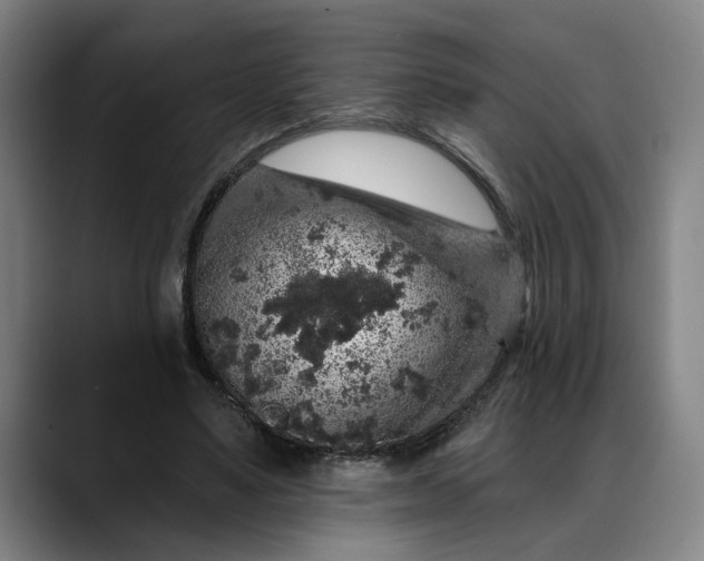 X0000088670491200706141338