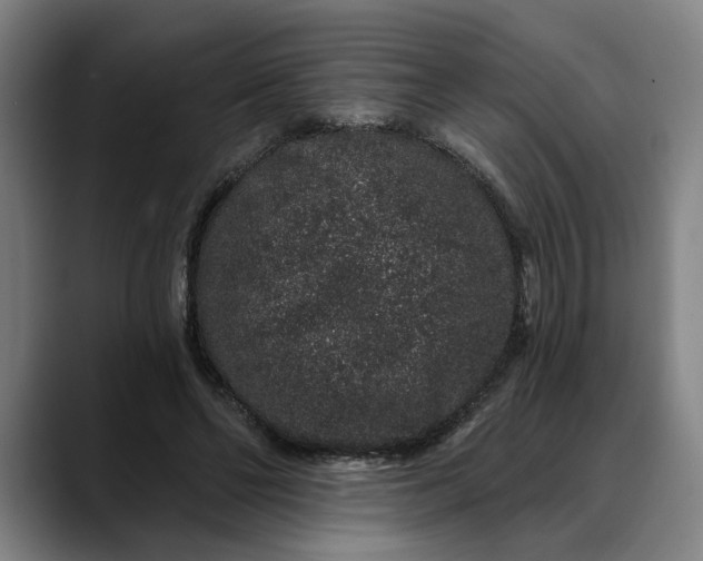 X0000088670494200706141338