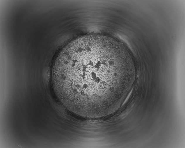 X0000088670495200706141338