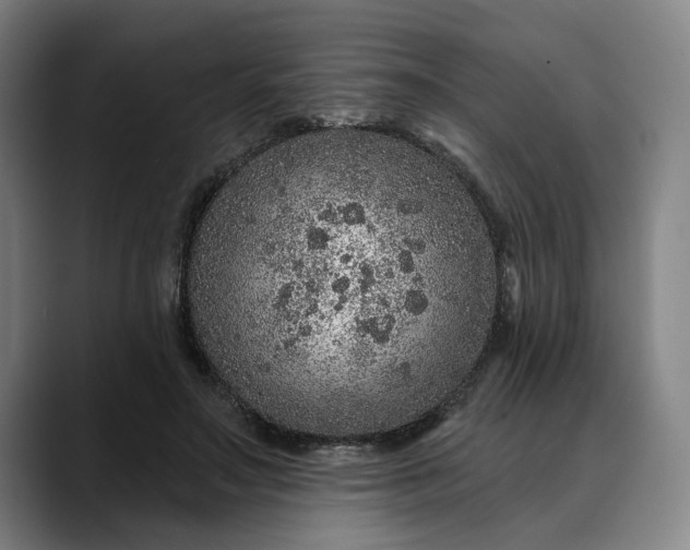X0000088670499200706141338