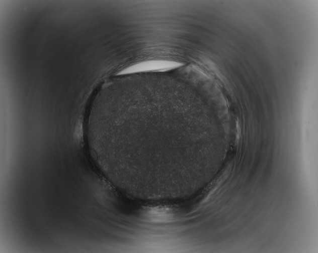 X0000088670500200706141338