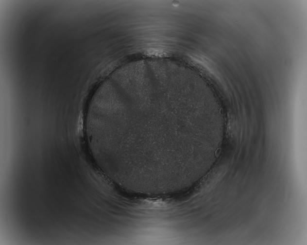 X0000088670502200706141338