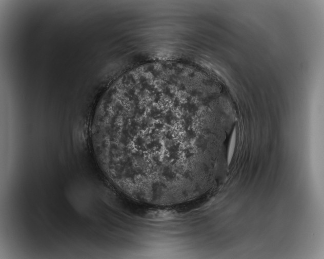 X0000088670503200706141338