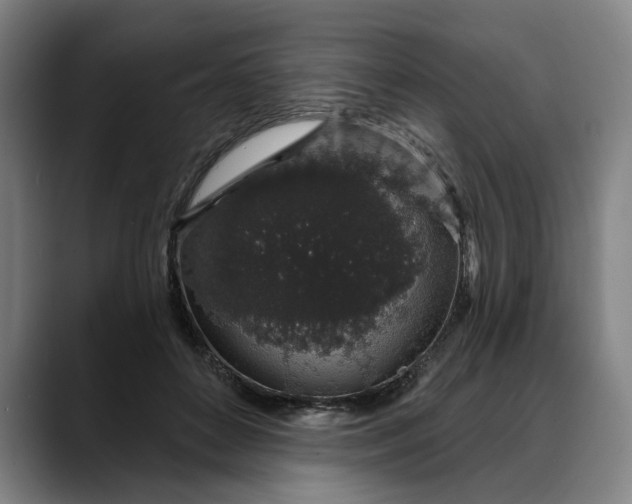 X0000088670504200706141338