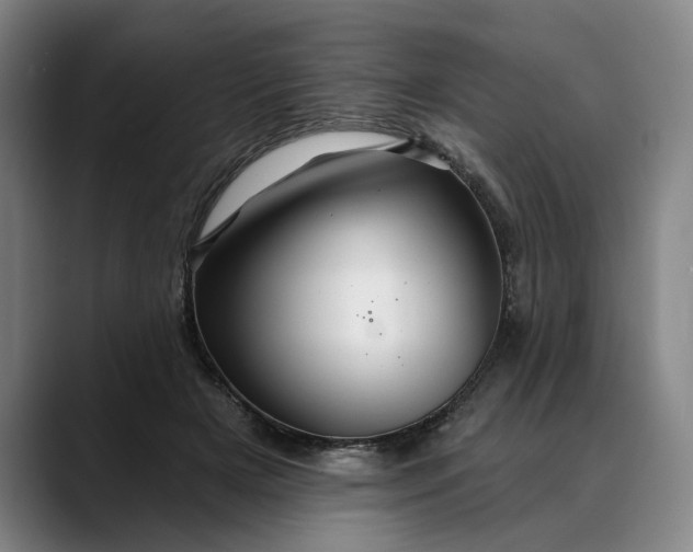 X0000088670505200706141338